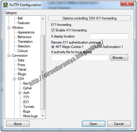 Enable X11 forwarding